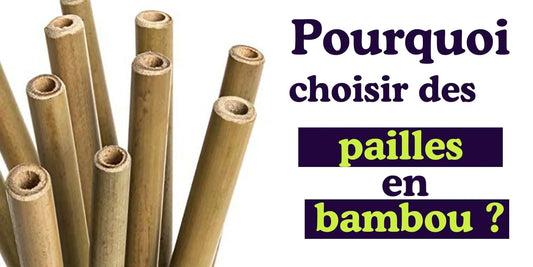 pailles en bambou lavables réutilisables