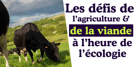 la-viande-l-agriculture-et-la-protection-de-l-environnement