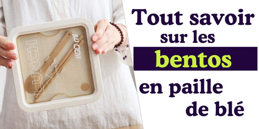 bentos paille de blé lunch box écologique durable