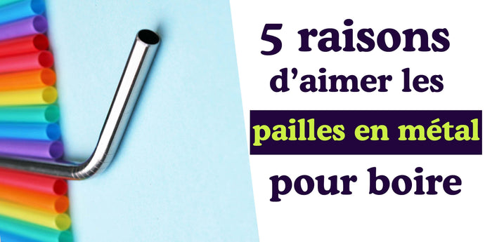 5 raisons d'aimer les pailles en métal pour boire