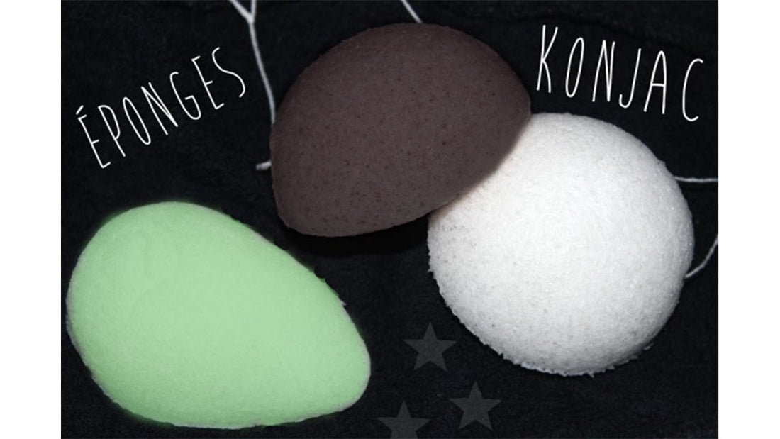 eponge-konjac-naturelle-biologique-biodégradable-durable-lot-charbon-aloe-vera