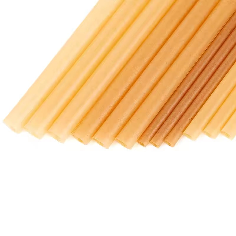pailles bagasse canne sucre biodegradable