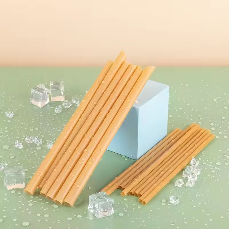 pailles bagasse canne sucre biodegradable