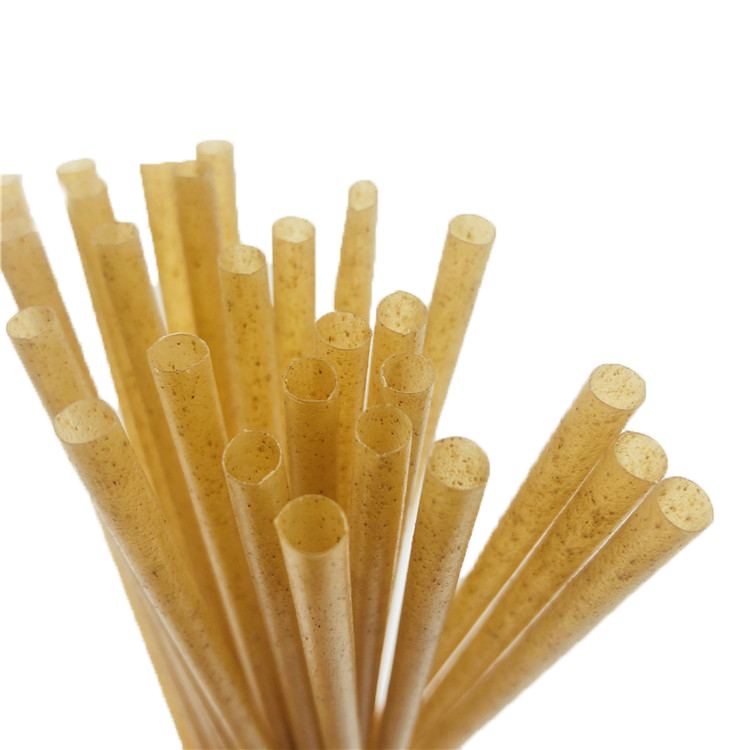 pailles bagasse canne sucre biodegradable