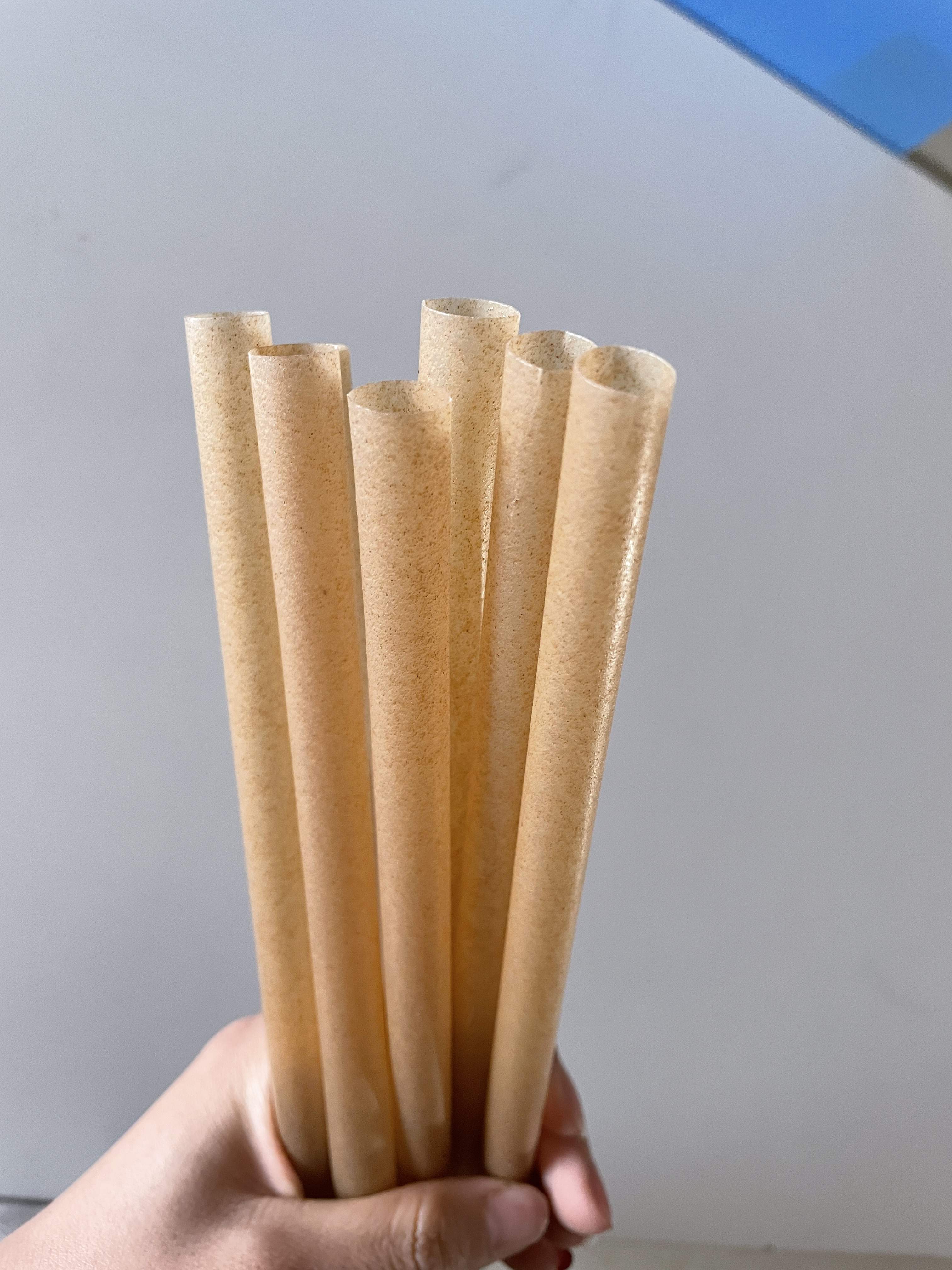 pailles bagasse canne sucre biodegradable BUBBLE TEA