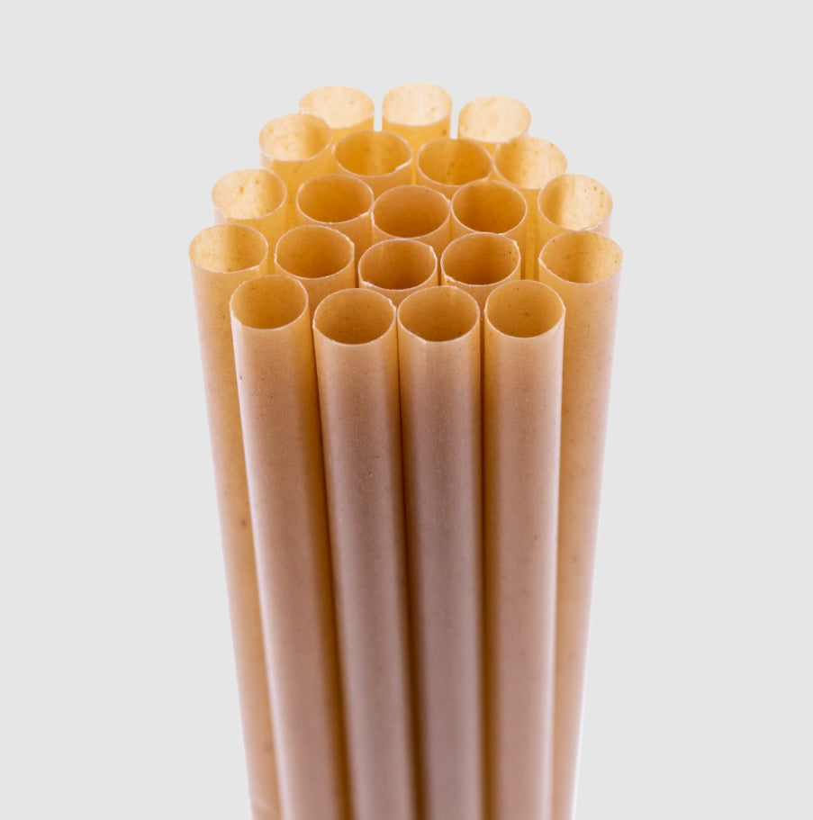 pailles bagasse canne sucre biodegradable bubble tea