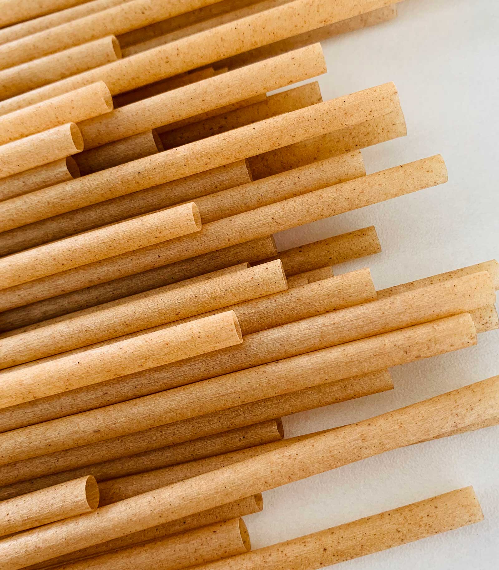 pailles bagasse canne sucre biodegradable